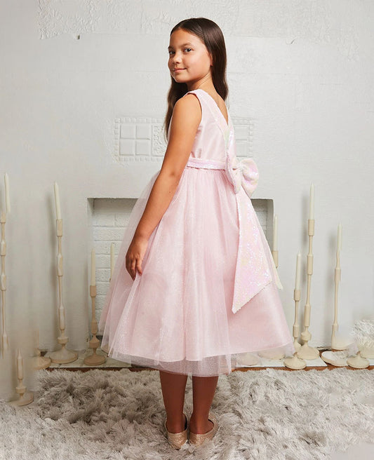 Ceremony Girl Dress 498