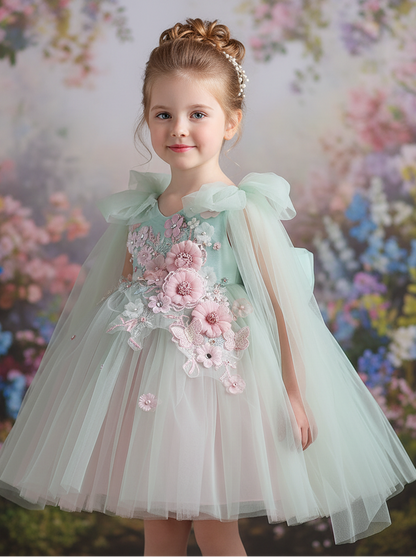Baby Girl Dress J216