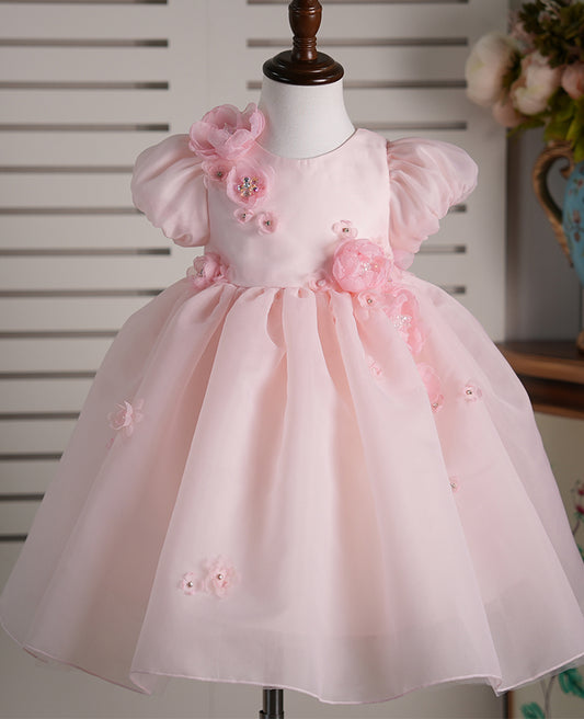 Baby Girl Dress J251