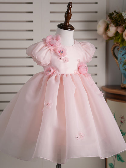Flower Girl Dress J251