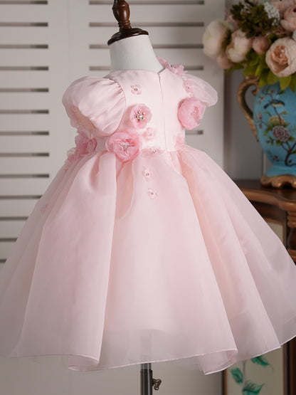 Flower Girl Dress J251