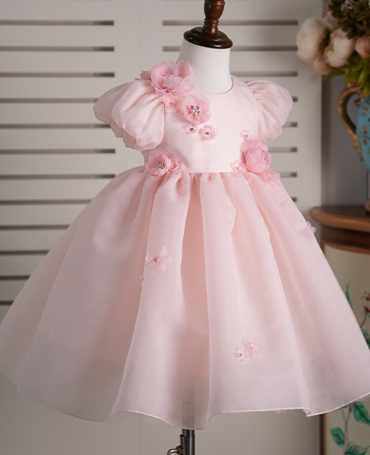 Baby Girl Dress J251