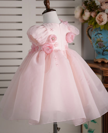 Baby Girl Dress J251