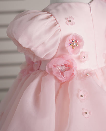 Baby Girl Dress J251
