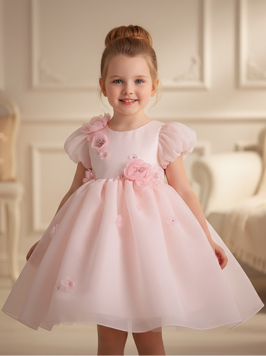 Flower Girl Dress J251