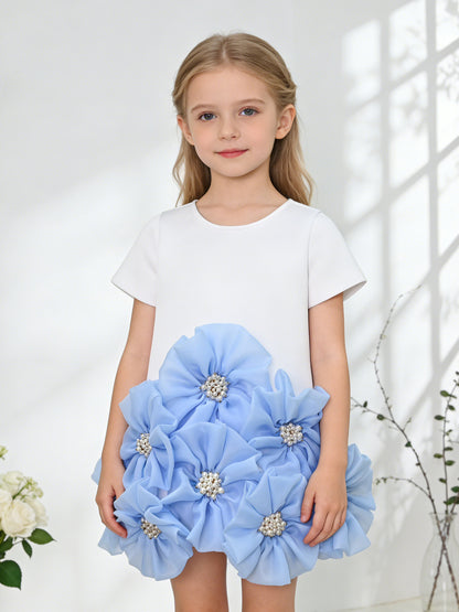 Ceremony Girl Dress WG1157-1