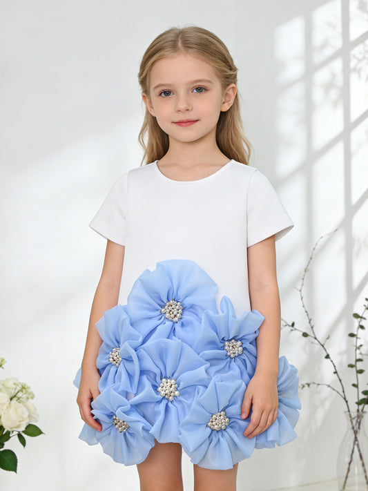 Ceremony Girl Dress WG1157-1