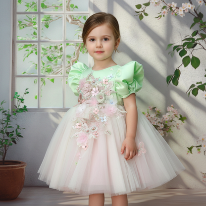 Baby Girl Dress WG1291