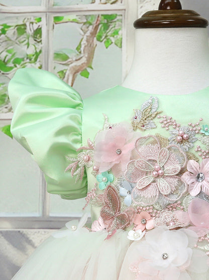Baby Girl Dress WG1291