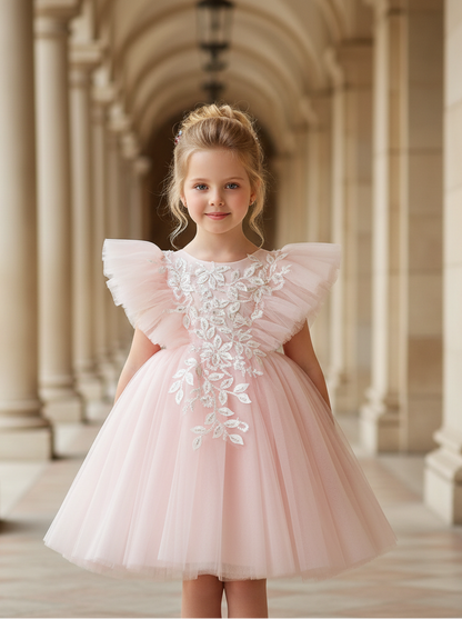 Baby Girl Dress WG2513