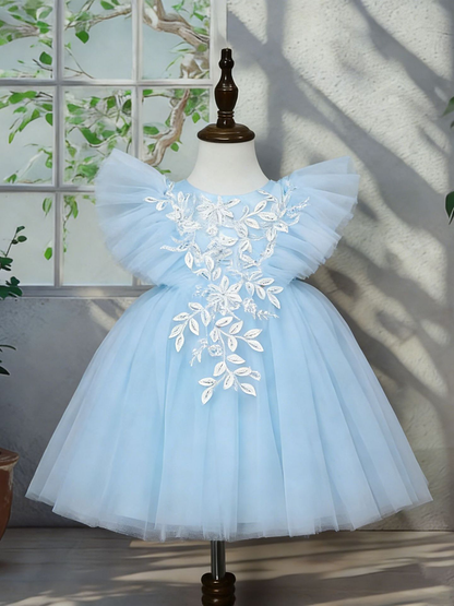Baby Girl Dress WG2513
