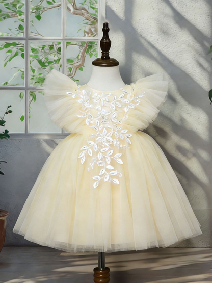Baby Girl Dress WG2513